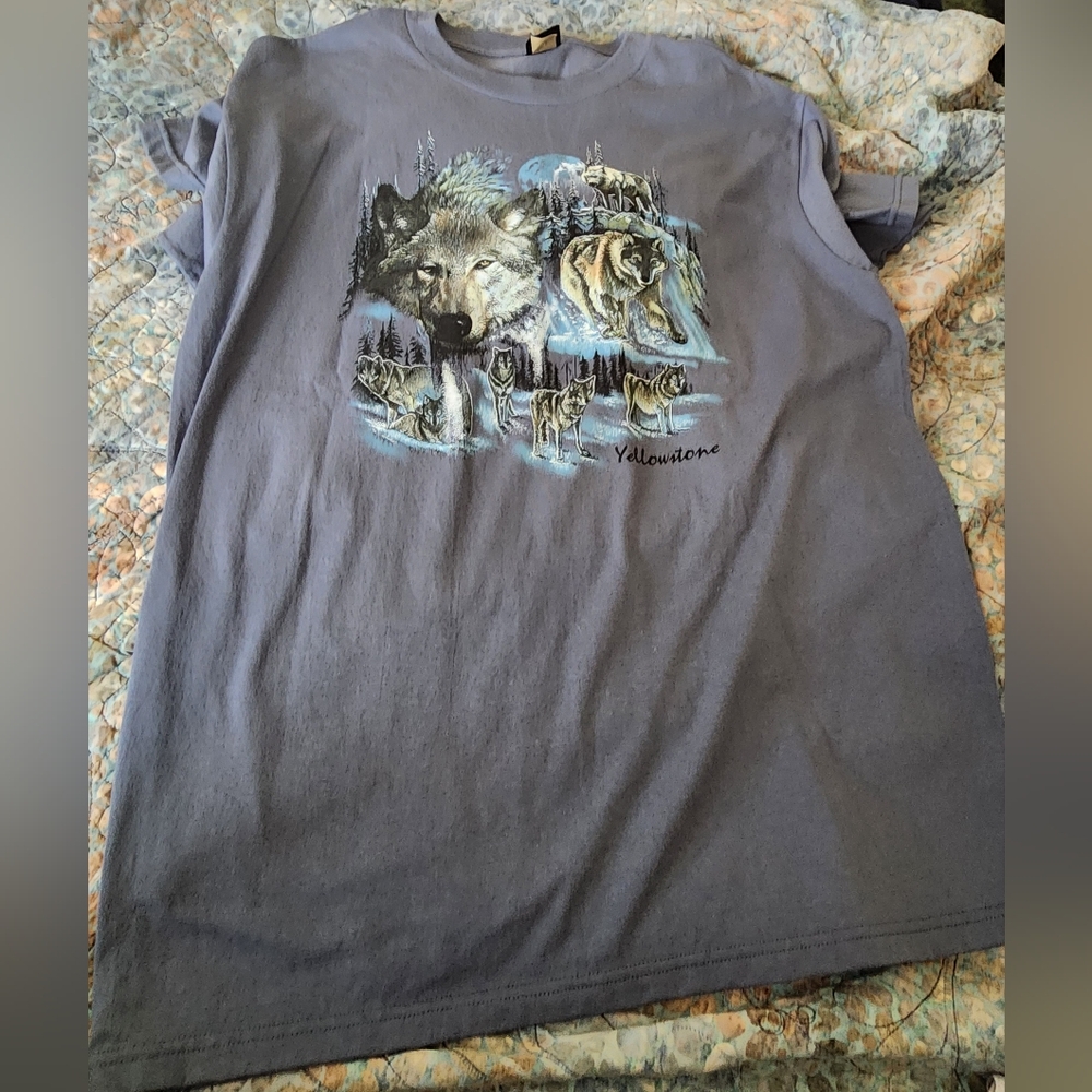 Graphic T-Shirt - Gray